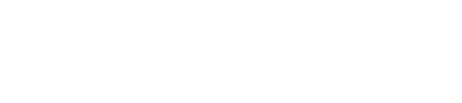 DIESEL PLUS Ltd